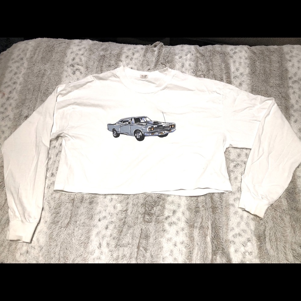 Brandy Melville long sleeved crop T